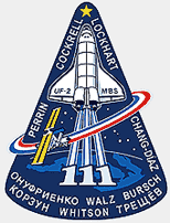 NASA image of STS-111 crew patch